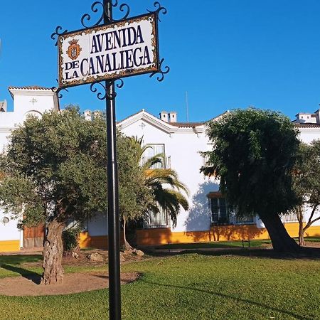 Estudio Reina Y Pastora El Rocio Apartment ภายนอก รูปภาพ